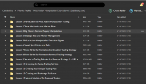 Piranha Profits – Price Action Manipulation Course Level 1