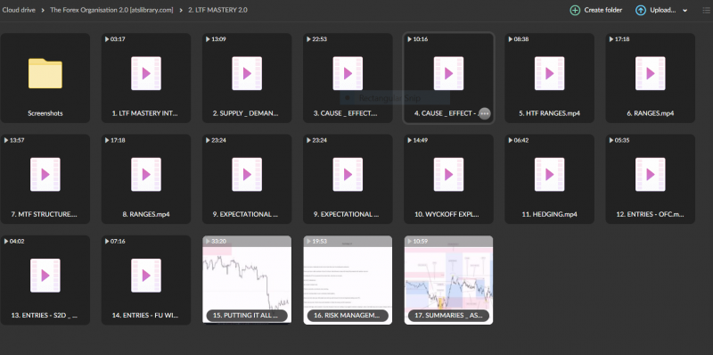 The Forex Organisation 2.0