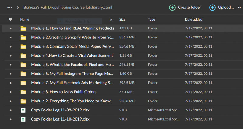 Biaheza’s Full Dropshipping Course 2022