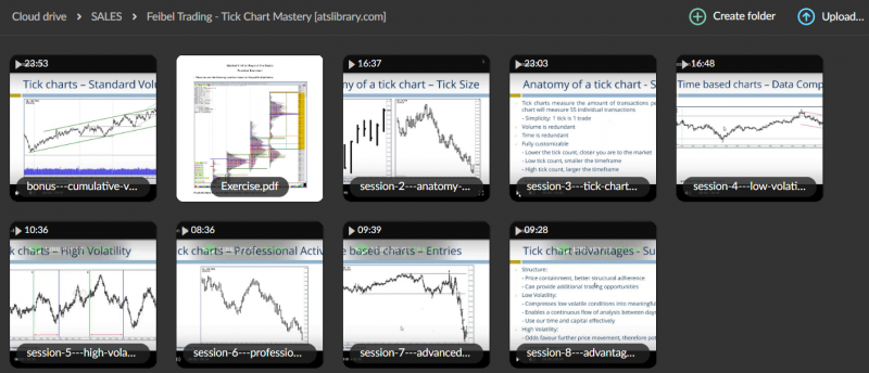 Feibel Trading – Tick Chart Mastery