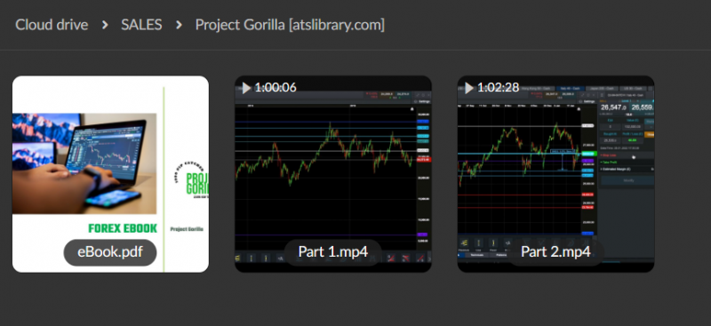 Project Gorilla Course