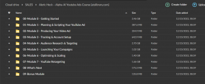 Aleric Heck – Alpha-AI Youtube Ads Course