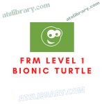 FRM Level 1 Bionic Turtle