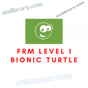 FRM Level 1 Bionic Turtle