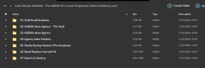 Justin Brooks (AdSkills) - The AdSkills Pro 5 Level Progression Matrix