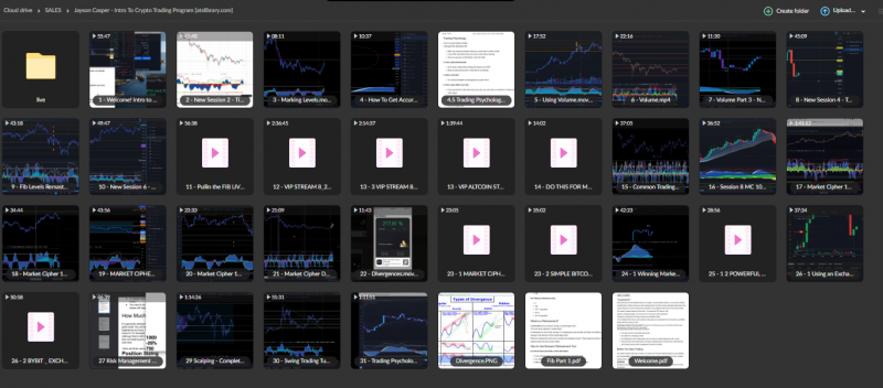 Jayson Casper – Intro To Crypto Trading Program