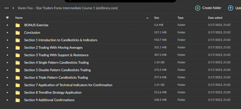 Karen Foo – Star Traders Forex Intermediate Course 1