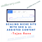 Tejas Rane – Scaling Niche Site with SEO & AI-Assisted Content