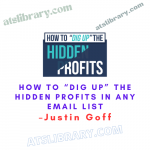 Justin Goff – How To “Dig Up” The Hidden Profits In Any Email List