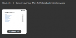 Content Mavericks – More Traffic Less Content (PlayBook)