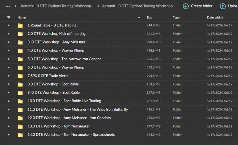 Aeromir - 0 DTE Options Trading Workshop