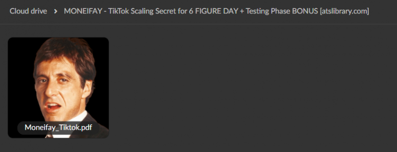 MONEIFAY – TikTok Scaling Secret for 6 FIGURE DAY [+ Testing Phase BONUS]