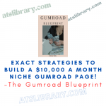 The Gumroad Blueprint – Exact Strategies to Build a $10,000 a Month Niche Gumroad Page!