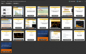 Macro Compass - Bond Market Course [atslibrary.com]