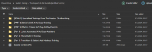 Stefan Georgi – The Expert AI Ad Bundle