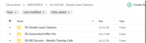 Joe McCall – Simple Lease Options