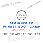 Pips2Profit – Beginner To Winner Boot Camp