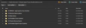 Natalia Raitomaki – Profitable Digital Product Bundle