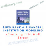 Breaking Into Wall Street – BIWS Bank & Financial Institution Modeling