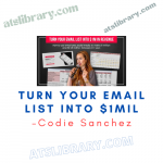 Codie Sanchez – Turn Your Email List Into $1mil