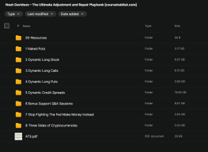Noah Davidson – The Ultimate Adjustment and Repair Playbook