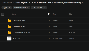 David Snyder – S.T.E.A.L.T.H Hidden Laws of Attraction