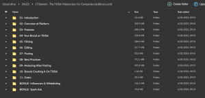 JT Barnett – The TikTok Masterclass: For Companies