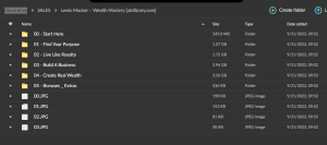 Lewis Mocker – Wealth Mastery