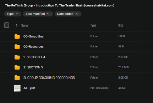 The ReThink Group – Introduction To The Trader Brain