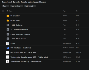 Csaba Borzasi – Conversion Operating System