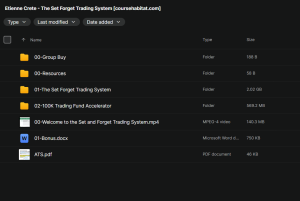 Etienne Crete – The Set & Forget Trading System
