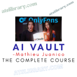Mathieu Juanico – AI Vault